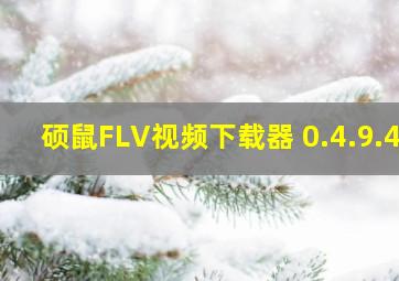 硕鼠FLV视频下载器 0.4.9.4